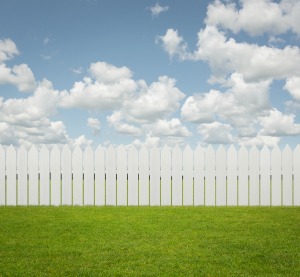 empty back yard