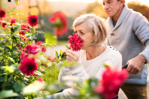 senior handicapped woman smelling flowers