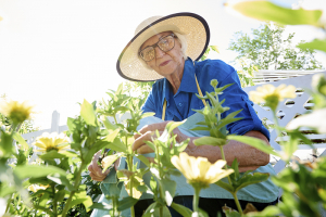 Benefits of Gardening for the Elderly