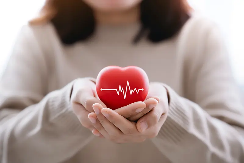 A woman holds a small heart-shaped item that symbolizes women’s heart health warning signs and how they differ from men’s.